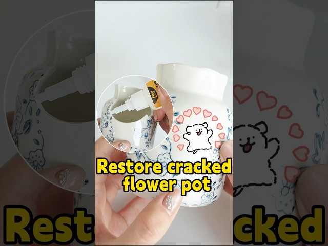 Cracked flower pot DIY repair hack | No need to buy new