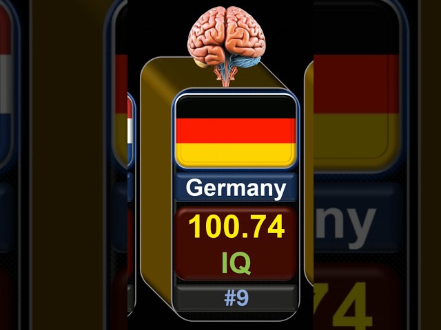 IQ Level Comparison 2024