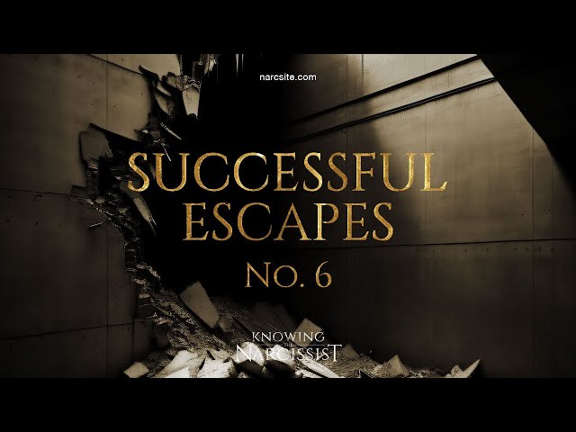 Successful Escapes : 6