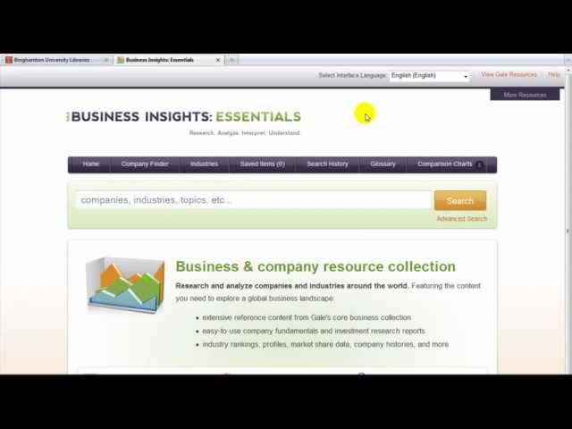 How to Use Business Insights: Essentials