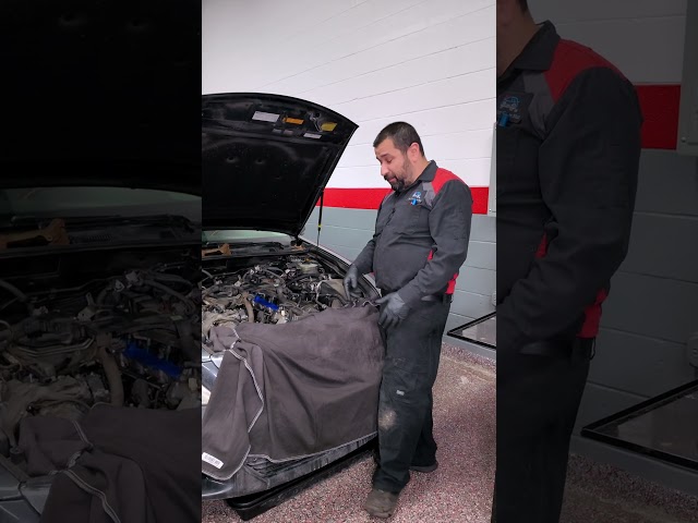 This Lexus Model is The Most Expensive to Repair
