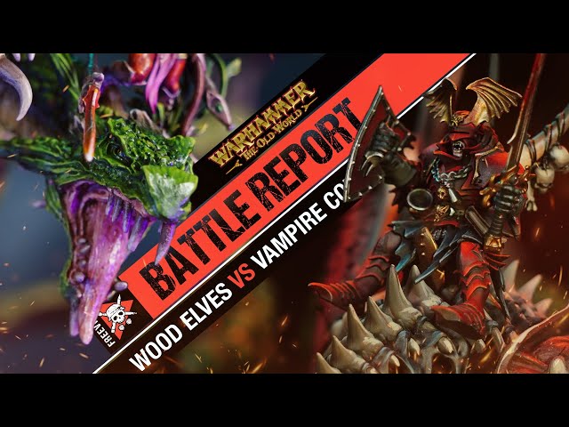 Vampire Counts vs Wood Elf Realms | Warhammer The Old World Battle Report