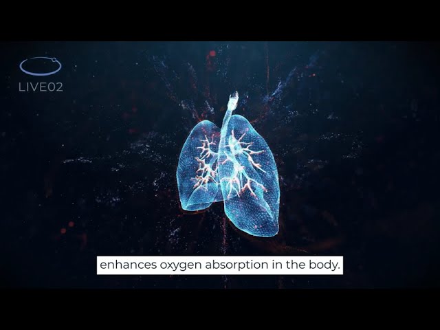 Live02 Adaptive Contrast System - Cellular Recharge Protocol