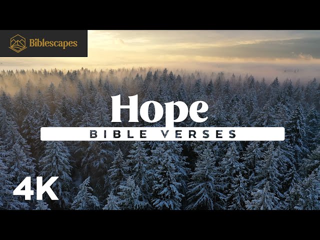 Bible Verses on "Hope" | 4K | 8 Minutes | 35+ Scriptures | Audio Bible + Music