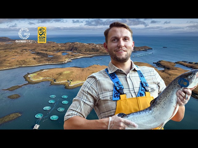 What makes Loch Duart's premium Scottish Salmon stand out?