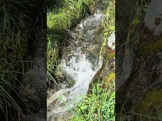 Relaxing Stream Sounds 🍃#riversounds #naturesounds #riverflow  #tranquility #waterstream  #meditate