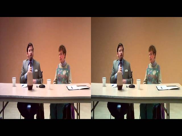 RPD12.9: Can naturalism account for qualia?