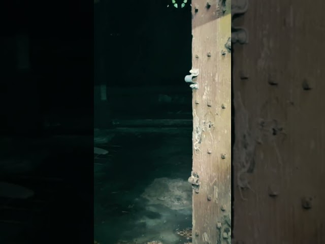 #fypシ #abandoned #grave #scary #horror #horrortok #urbex #abandonedplaces #paranormal #history #fyp