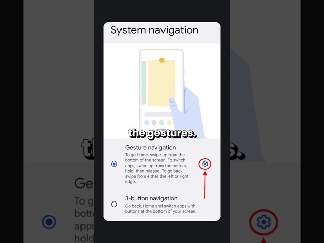 Gesture vs 3-button navigation