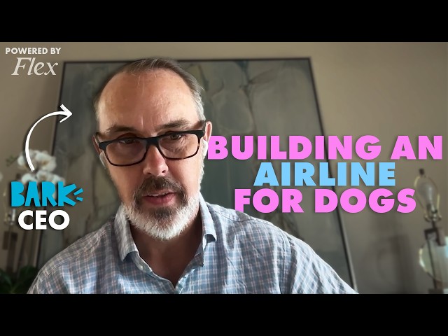 Why BARK Built an Airline for Dogs