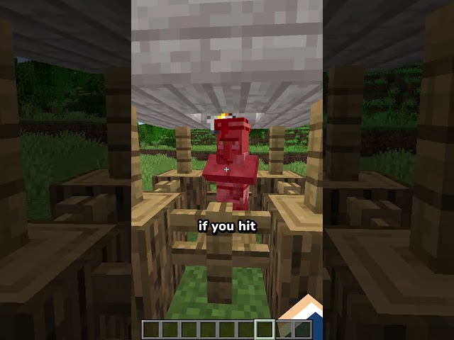 Differences Between Java and Bedrock