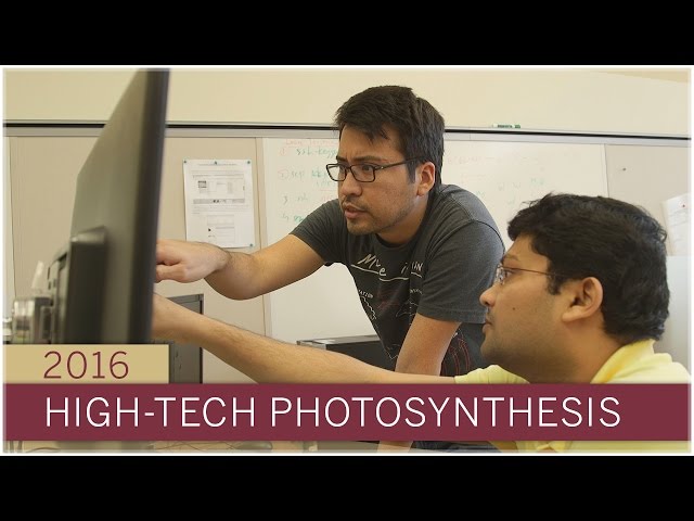 High-Tech Photosynthesis