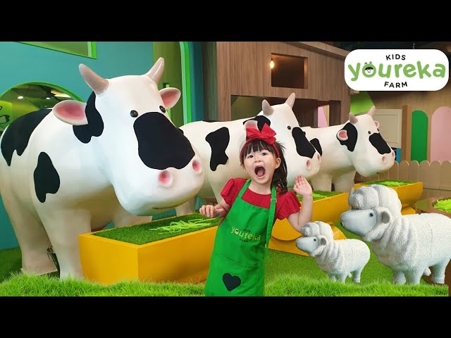Let's Feeding Cow Cute Sheep Chicken and Riding Horses at Youreka Kids Farm