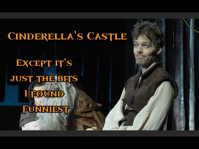 Cinderella's Castle But It's Just The Bits That I Found Funniest