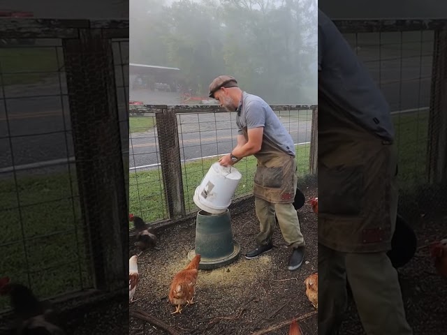 My Animals Eat before I do.