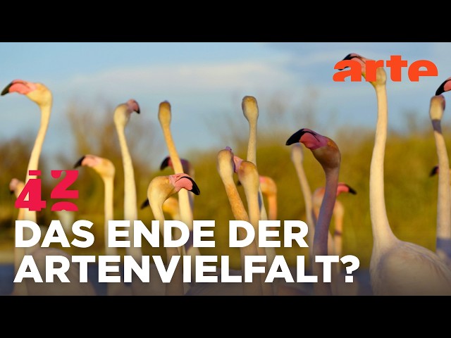 Können wir das Artensterben noch aufhalten? | 42 - Die Antwort auf fast alles | ARTE