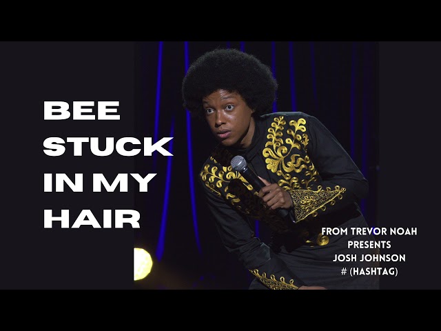 Josh Johnson | Bee Stuck in My Hair