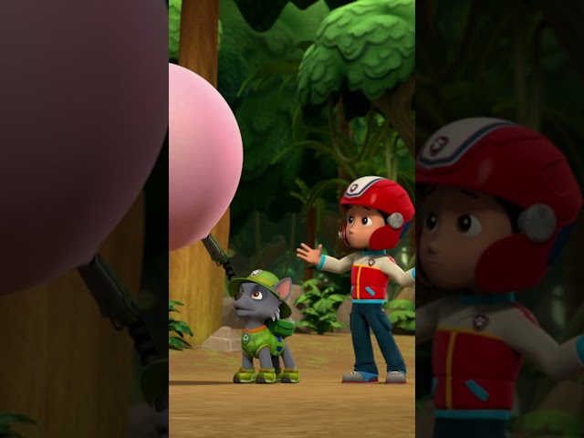 Die Pups retten Affen mit Kaugummi! - #PAWPatrol #Shorts Germany
