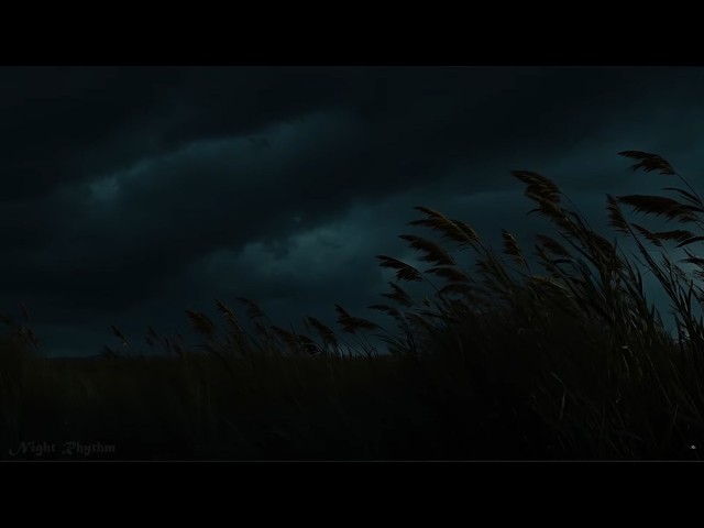 Sleep to Thunder & Night Winds | Storm Over Silent Fields | Majestic Calm for Deep Rest