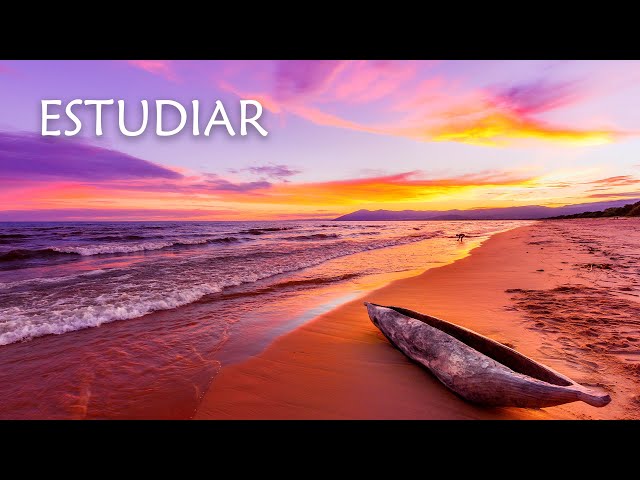 Musica para Estudiar y Memorizar con todo el Cerebro ☯ Ondas Alfa ☯ Música Relajante para Trabajar