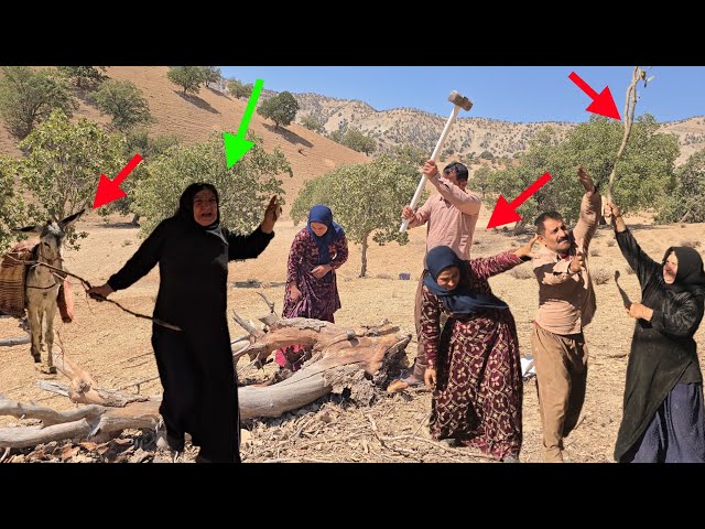 🔥 Ali Akbar and Maryam against Shahab's mother; Where will the story end?