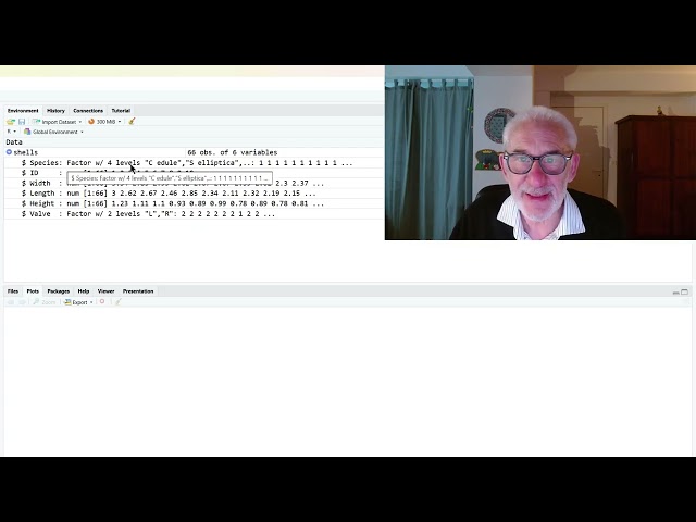 Knokke Shells and R Programming