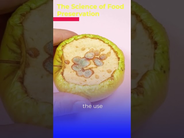From Kitchen to Pantry: Learn the SECRETS of Effective Food Preservation | #shorts