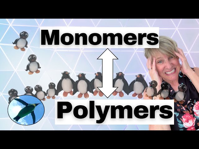 Monomers & Polymers | Chemistry Basics 🐧