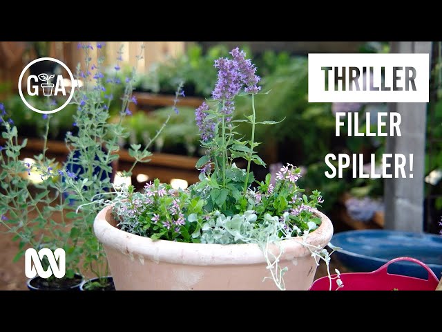 Thriller Filler Spiller! | Garden Design & Inspiration | Gardening Australia