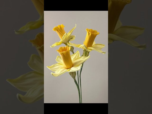 how to make Daffodil flowers with gumpaste #flowers #diy #art #tutorial #cake #sugarart #gumpaste