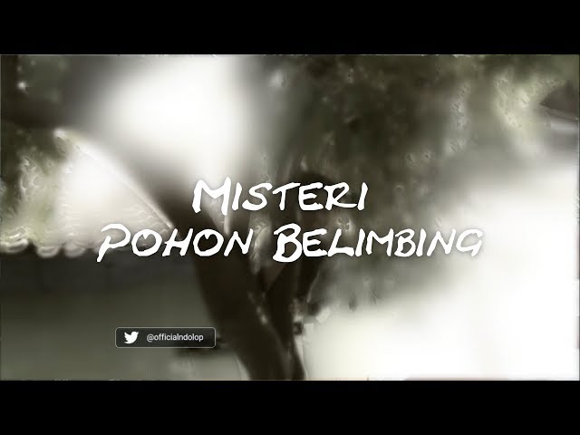 Misteri Pohon Belimbing (Mas Ndo Jalan-Jalan) - Ndolop Creative