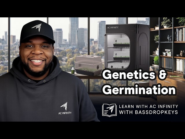 Genetics & Germination | Cannabis Growing with Bassdropkeys | Ep. 2