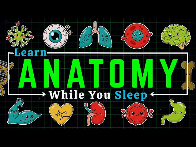 Fall Asleep to Anatomy & Physiology: Human Body Systems