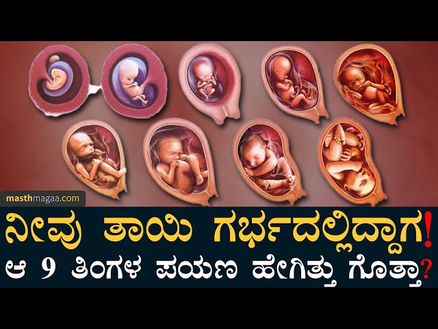 ಈ ವಿಡಿಯೋ ಮಿಸ್ ಮಾಡಲೇಬೇಡಿ! | Journey of a baby inside womb | 9 months | Amar Prasad | Masth Magaa