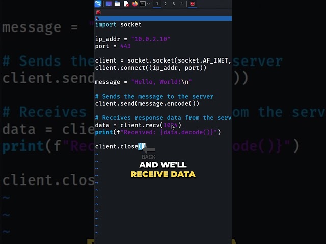 Learn Python for Cybersecurity!