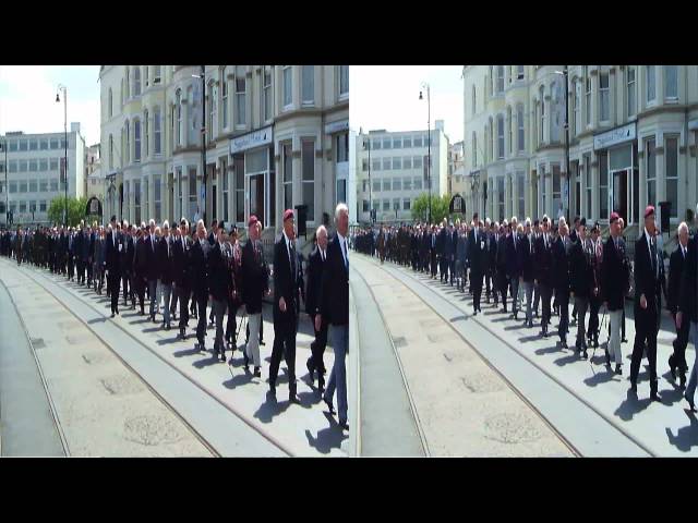 3D Video: Armed Forces Day Parade 2011
