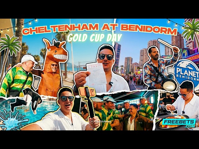 Racing Blogger does Cheltenham at Benidorm | Freebets.com Originals