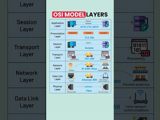 OSI Model Layers Explained in 60 Seconds 🌐 | Networking Basics