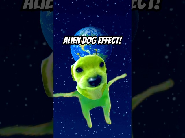 how to use YouTube filters: alien dog effect 🐶👽 #youtubeeffect