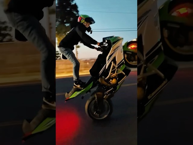 Valleystuntcrew ride 6/6 #stunt #harleywheelies #chrislongfilms
