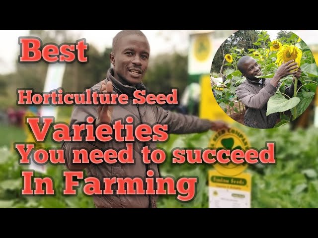 Best Horticulture Seeds Varieties For Profitable Farming