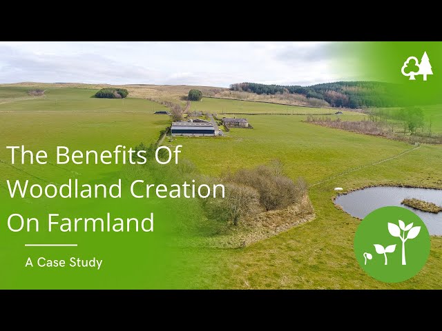 The Benefits Of Woodland Creation On Farmland