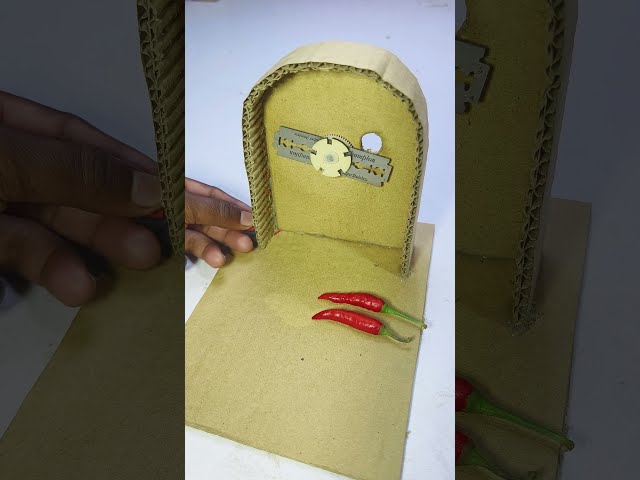 Chilli Cutter Tool DIY #chillimachine #shorts #diy #project #motor