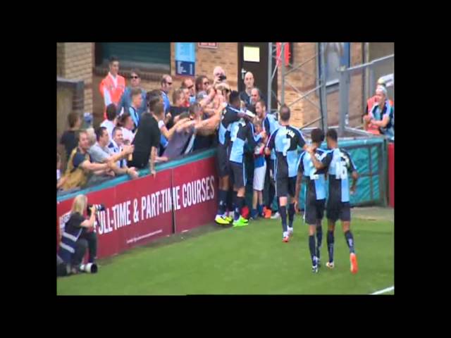 CELEBRATION | Ballboy joins in with goal celebrations!