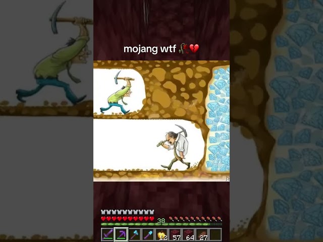 Mojang why!!!!