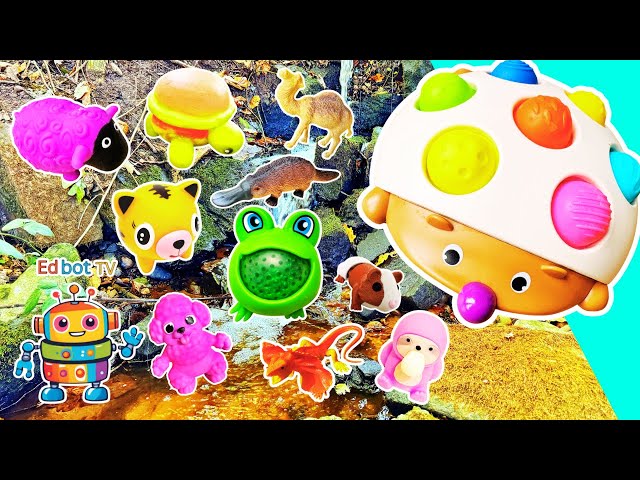 Kids Learn | Animal Names at the Waterfall: Hedgehog Cow Dog Wolf Sheep Lion Sloth