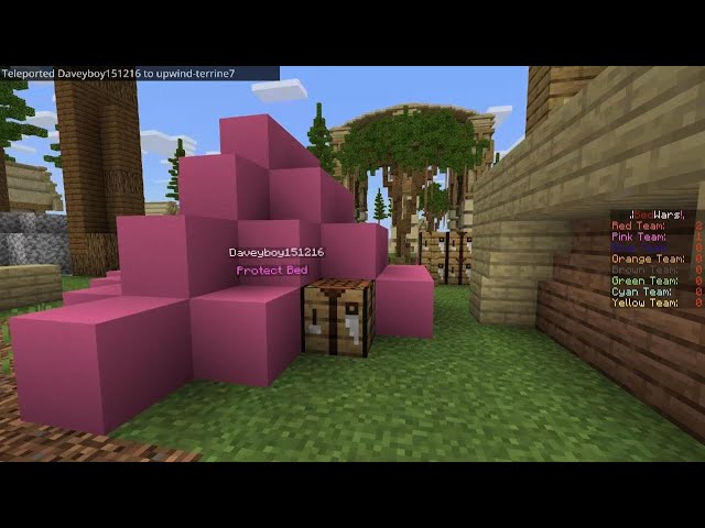 Minecraft_bed wars. I was trolling my cousin and teleported my other cousin inside her bed 🤣