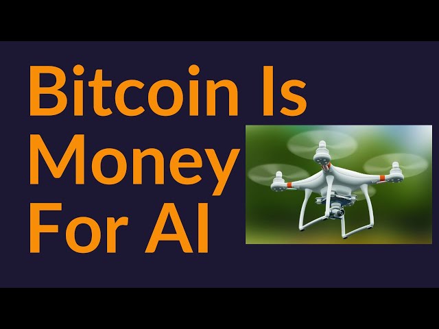 Bitcoin Is Money For The AI