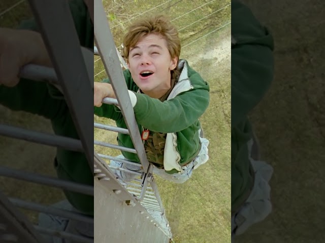 Buon compleanno Mr Grape #shorts #viral #viralvideo #funnyvideo
