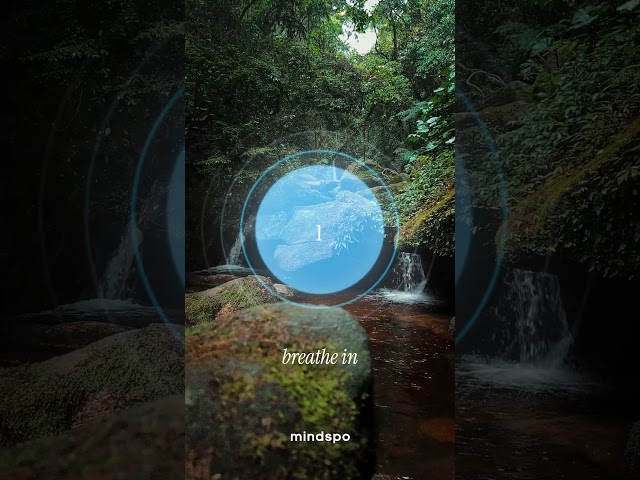 Guided Breathing Exercise 🌿💧 | Mindspo